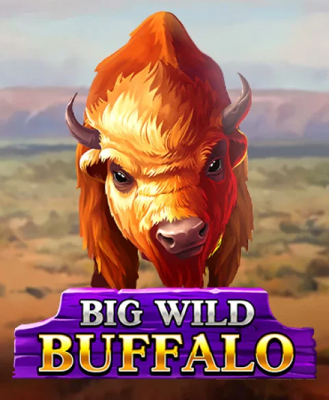 Play Big Wild Buffalo at O Reels Casino